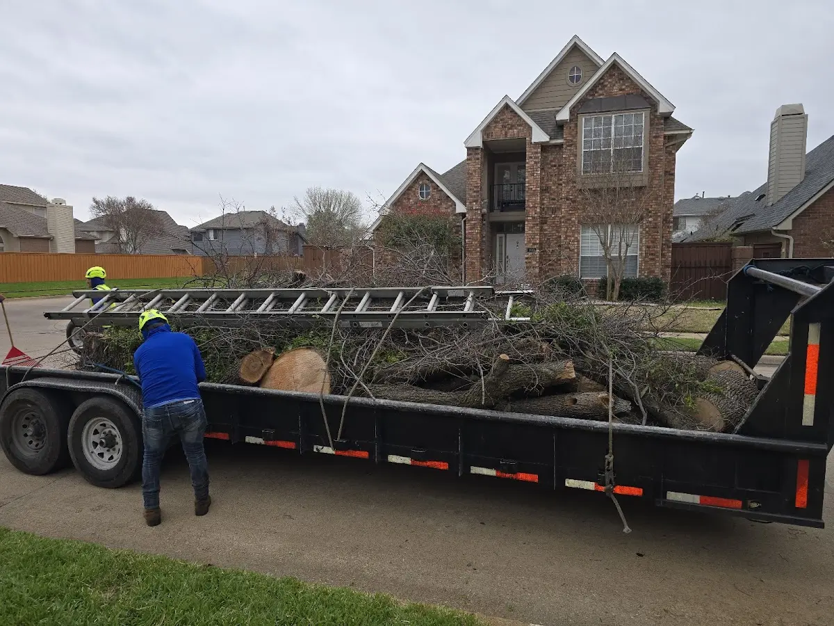 Expert Tree Fertilization with proper safety equipment in Edgerton